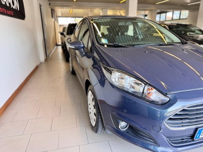 Ford Fiesta 1.5 TDCi 75CV 5 porte Titanium (4)