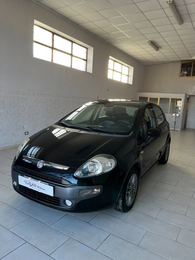 Fiat Punto Evo 1.2 5 porte S&S Active usata