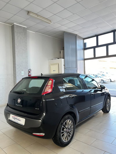 Fiat Punto Evo 1.2 5 porte S&S Active (4)