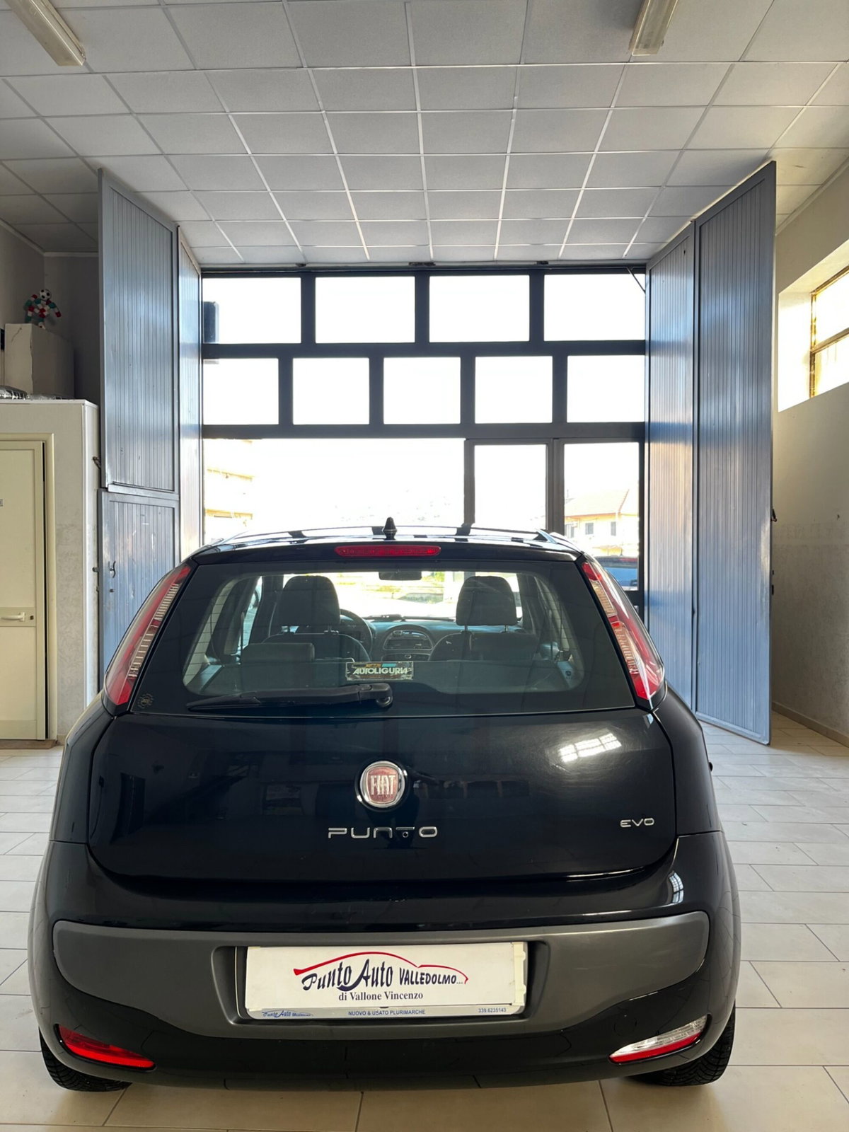 Fiat Punto Evo 1.2 5 porte S&S Active (5)