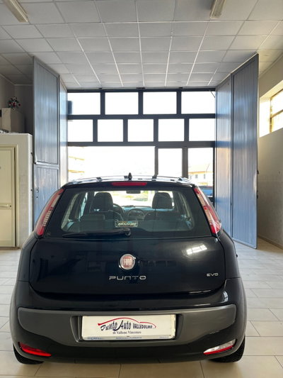 Fiat Punto Evo 1.2 5 porte S&S Active (5)