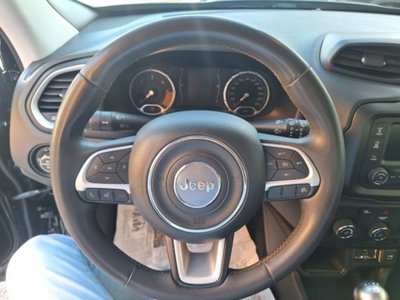 Jeep Renegade 1.6 Mjt 120 CV Longitude (12)