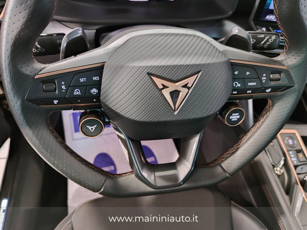 Cupra Formentor Formentor 2.0 TDI (16)