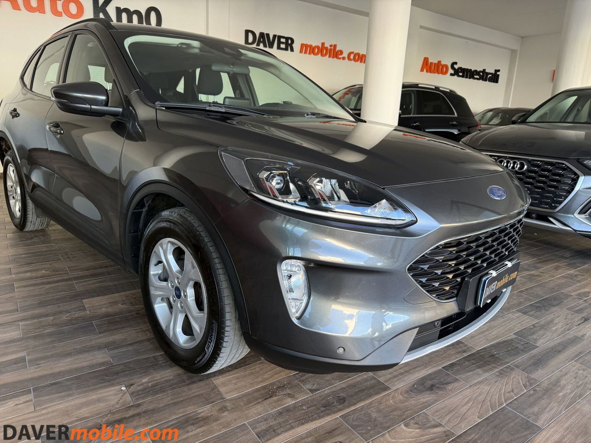 Ford Kuga 1.5 EcoBlue 120 CV 2WD Titanium