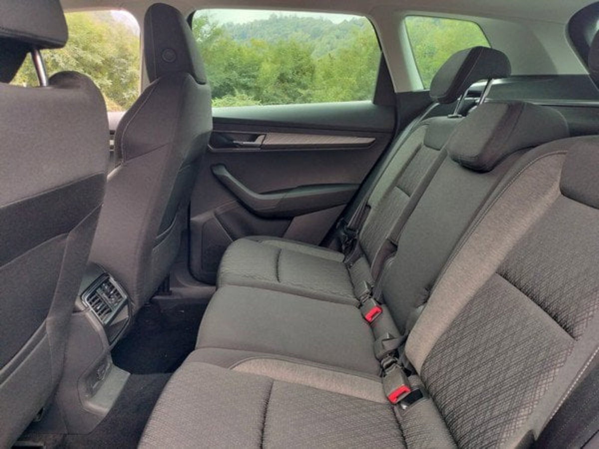 Skoda Karoq 2.0 TDI EVO SCR 115 CV DSG Style (14)