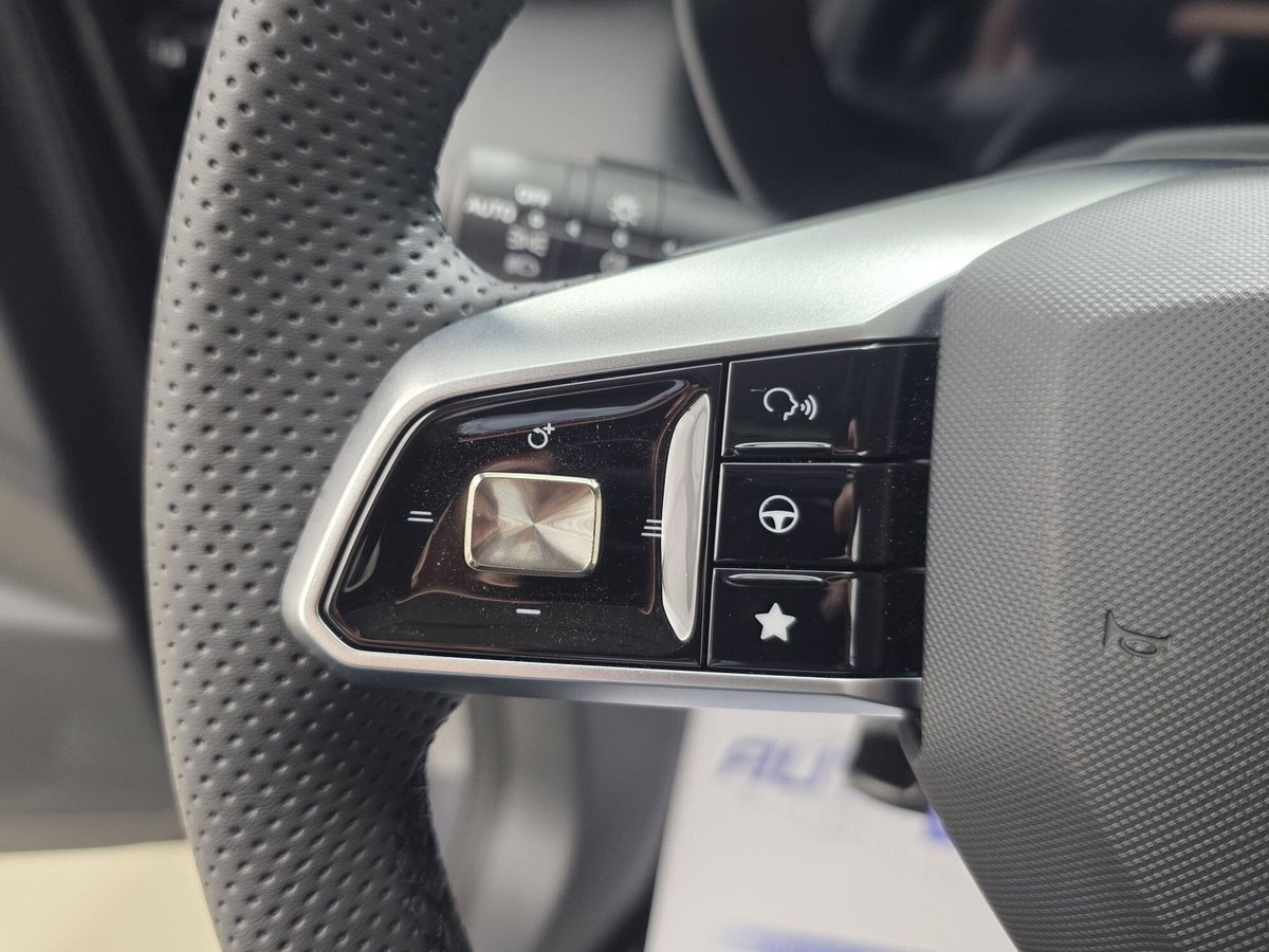 Mg ZS 1.5 hybrid+ Luxury auto (18)