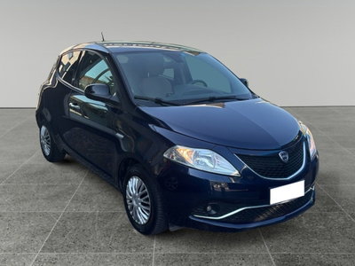 Lancia Ypsilon 1.2 69 CV 5 porte Platinum (3)