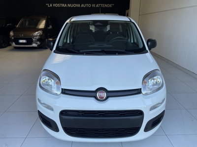 Fiat Panda Cross Cross 1.0 FireFly S&S Hybrid (2)