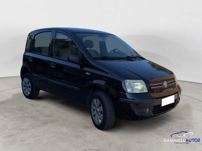 Fiat Panda 1.2 Active Natural Power (2)