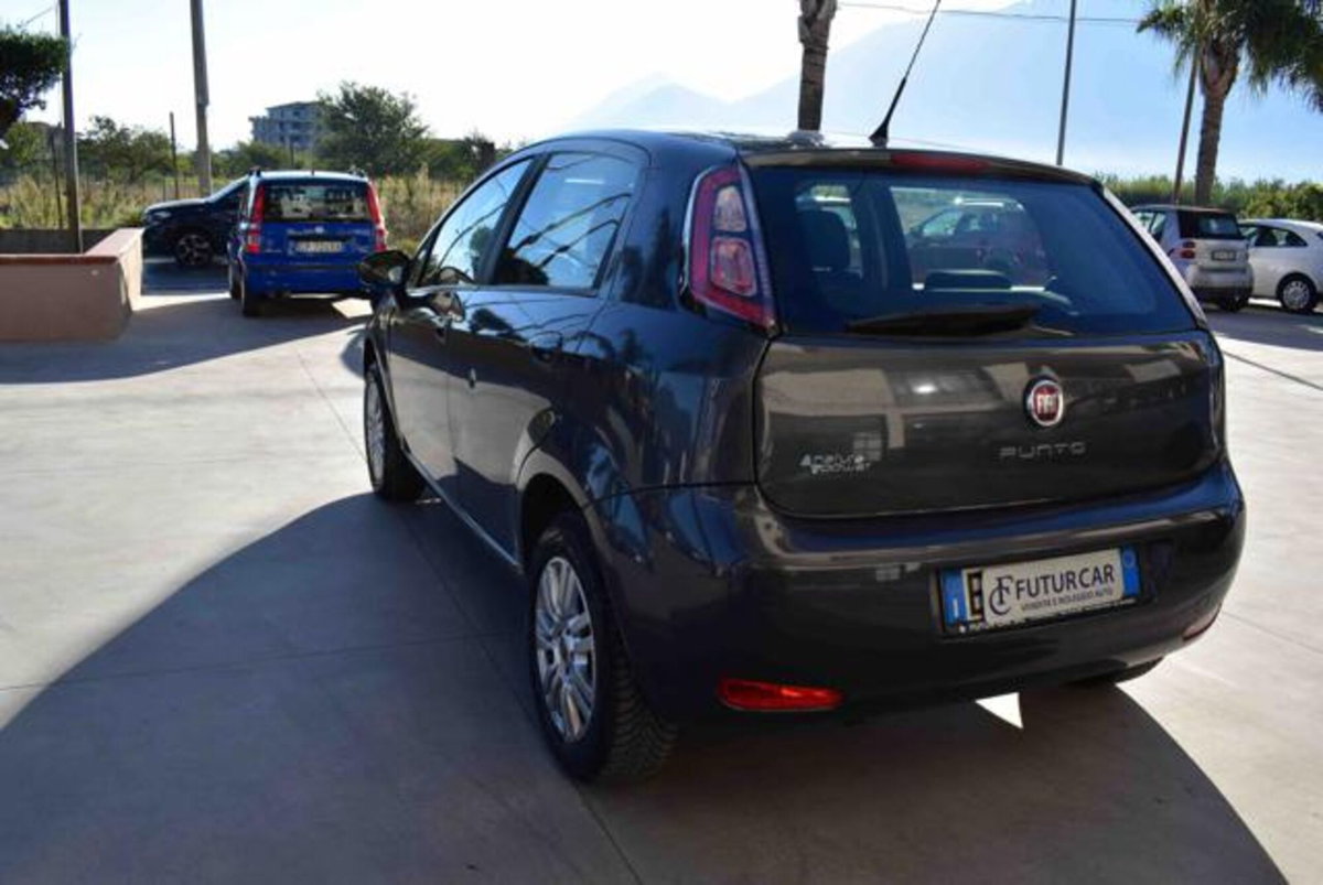 Fiat Punto 1.4 8V 5 porte Natural Power Lounge (15)