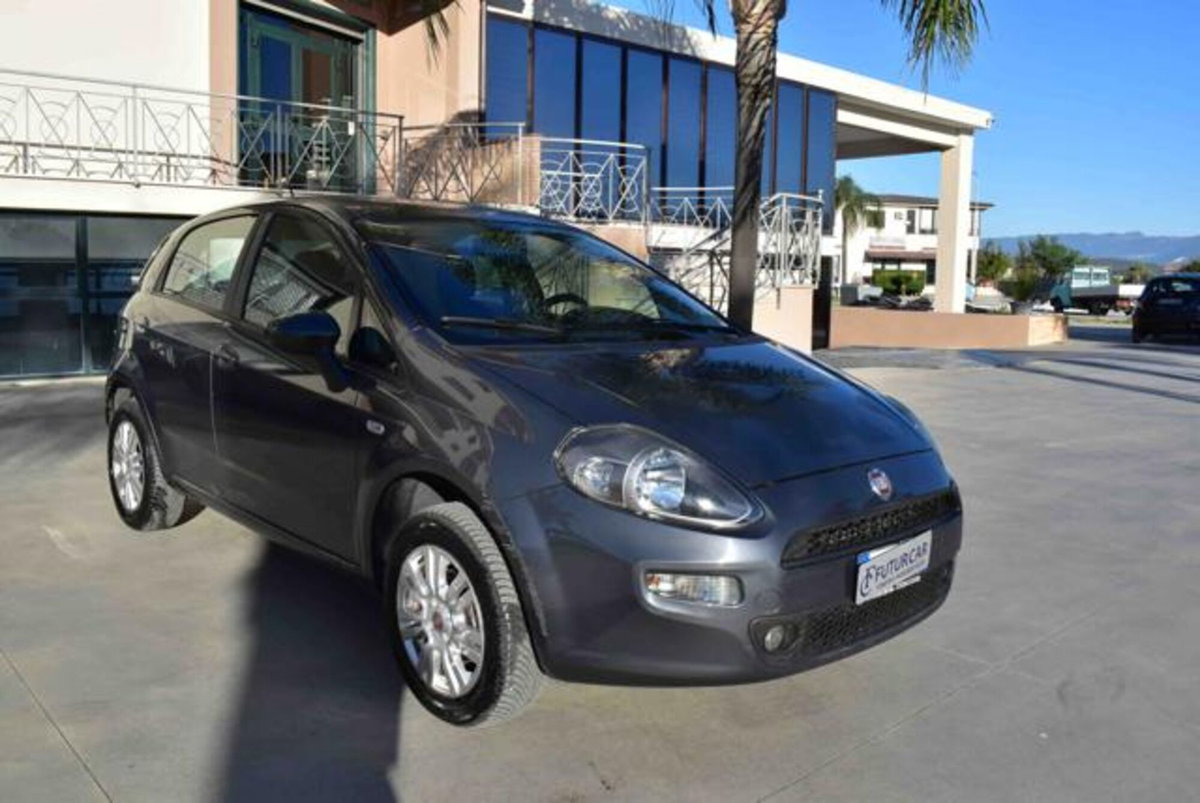 Fiat Punto 1.4 8V 5 porte Natural Power Lounge (3)