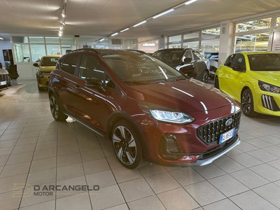 Ford Fiesta Active X 1.0 Ecoboost Hybrid 125 CV 5 porte (3)