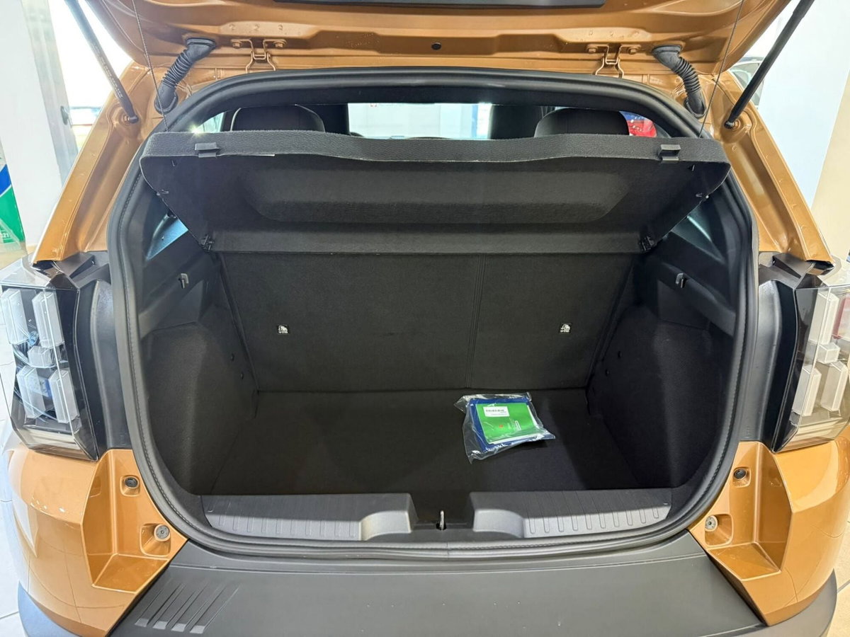 Fiat Grande Panda 1.2 Icon 100cv (4)