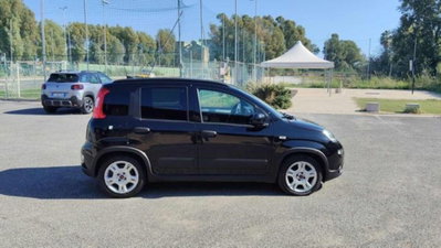Fiat Panda 1.0 firefly hybrid s&s 70cv 5p.ti (2)