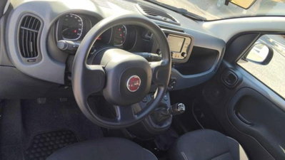 Fiat Panda 1.0 firefly hybrid s&s 70cv 5p.ti (6)