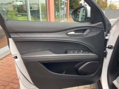 Alfa Romeo Stelvio Stelvio 2.2 Turbodiesel 190 CV AT8 Q4 Business (12)