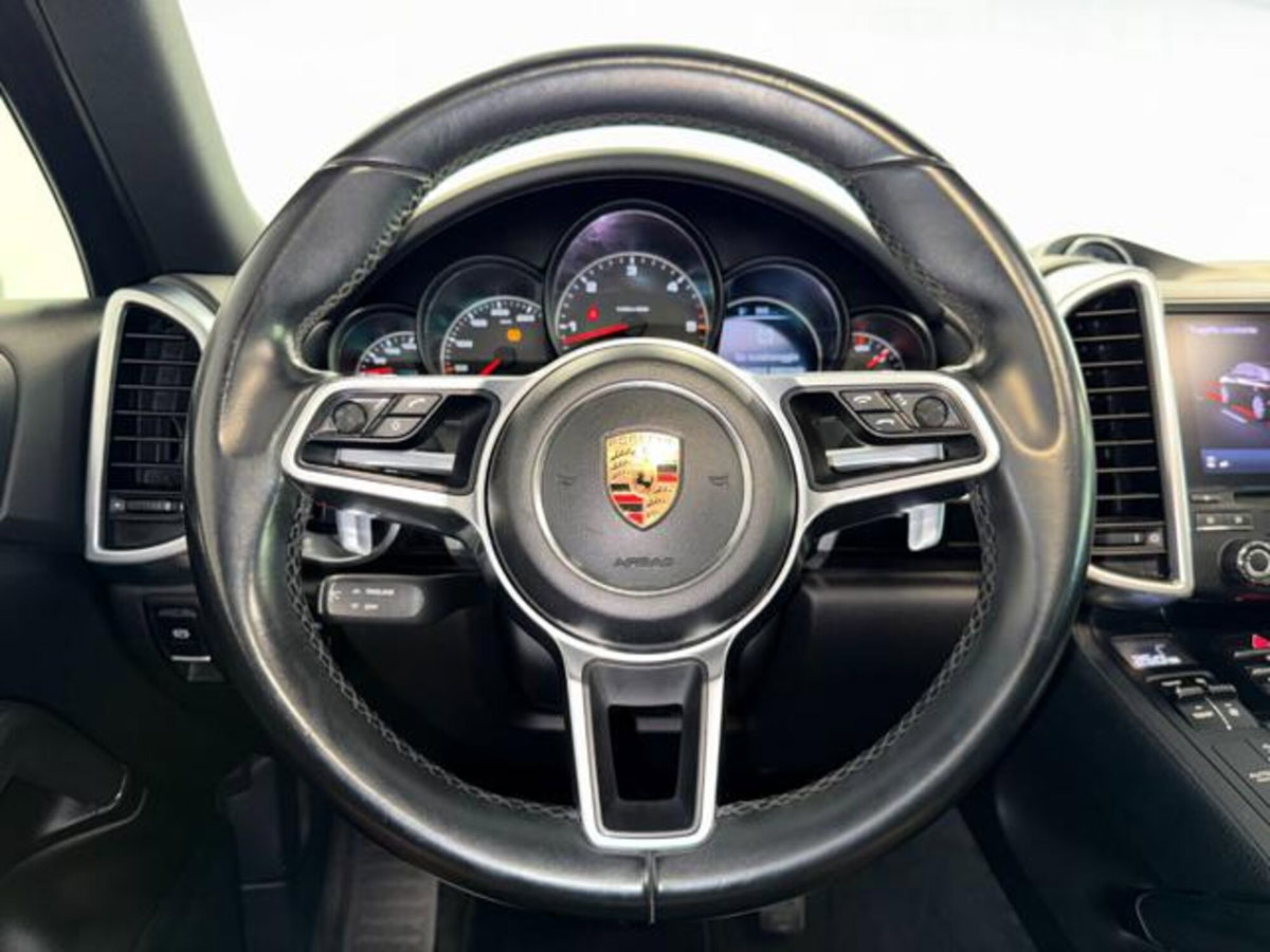 Porsche Cayenne 3.0 Diesel Platinum Edition (15)