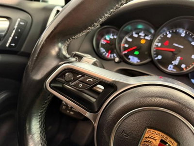 Porsche Cayenne 3.0 Diesel Platinum Edition (17)