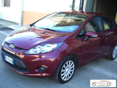 Ford Fiesta 1.4 TDCi 68CV 5 porte Titanium (2)