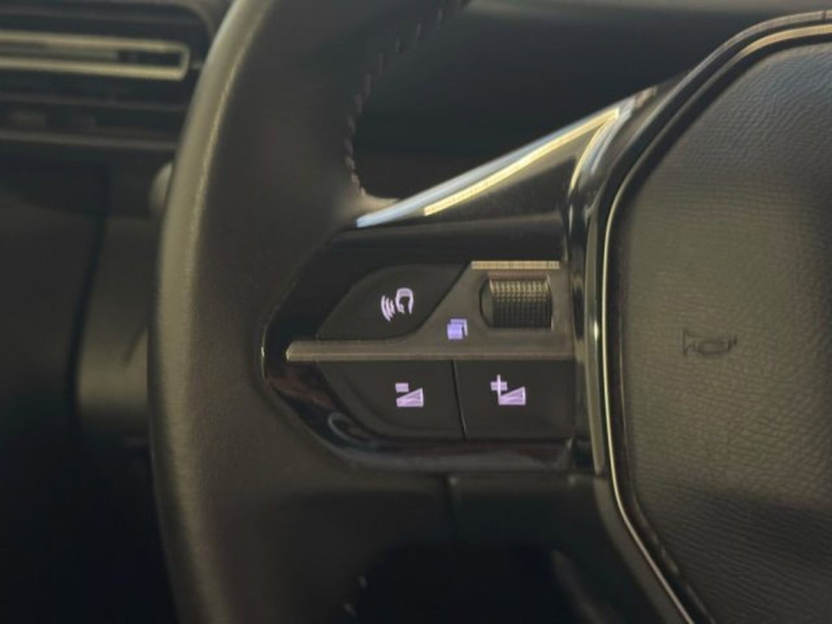 Peugeot Rifter BlueHDi 100 Active Long (16)