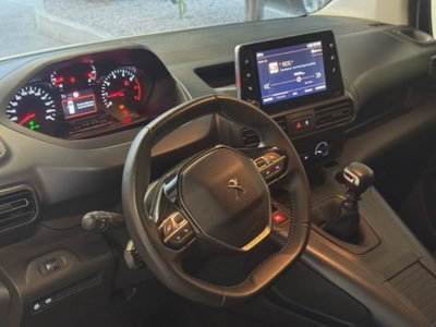 Peugeot Rifter BlueHDi 100 Active Long (19)