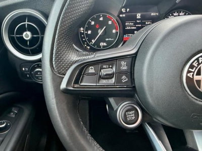 Alfa Romeo Stelvio Stelvio 2.2 Turbodiesel 190 CV AT8 Q4 B-Tech (16)