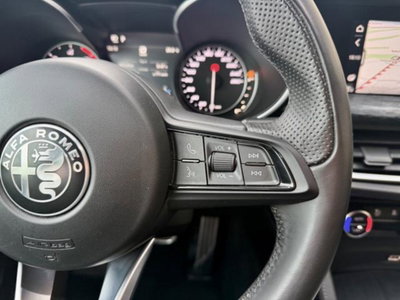 Alfa Romeo Stelvio Stelvio 2.2 Turbodiesel 190 CV AT8 Q4 B-Tech (17)