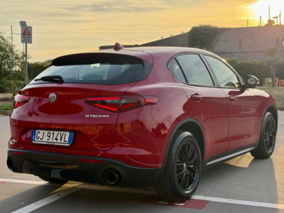 Alfa Romeo Stelvio Stelvio 2.2 Turbodiesel 190 CV AT8 Q4 B-Tech (8)