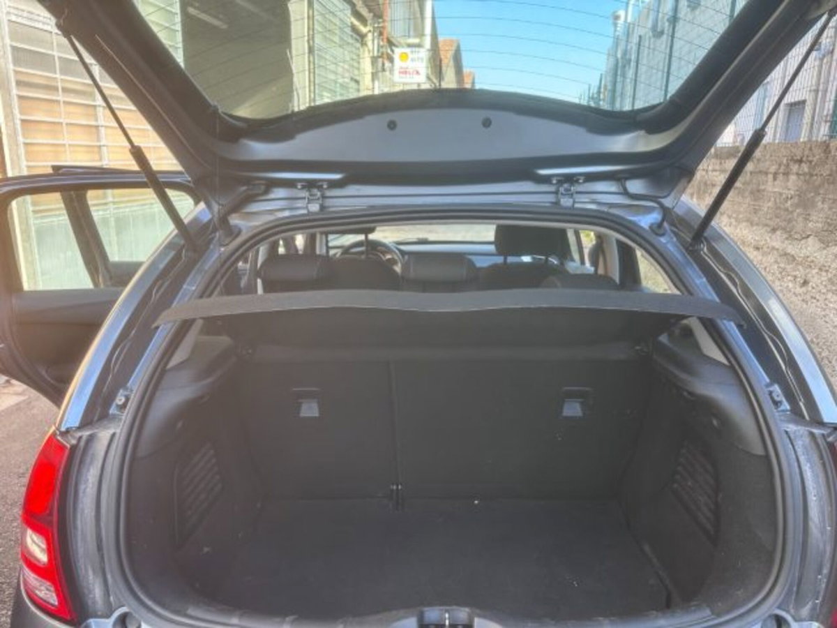 Citroen C3 1.4 GPL airdream Exclusive (9)