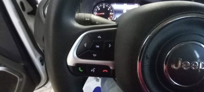 Jeep Renegade 1.6 Mjt 130 CV Limited (15)