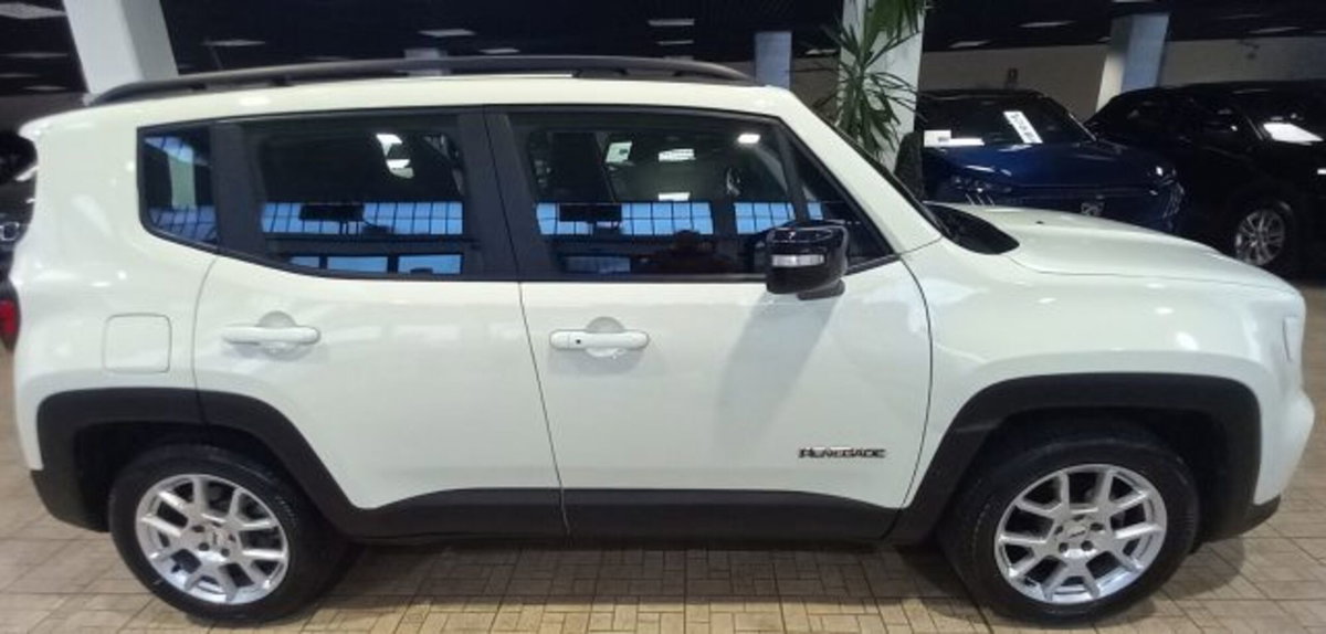 Jeep Renegade 1.6 Mjt 130 CV Limited (2)