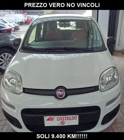 Fiat Panda 1.2 Easy usata