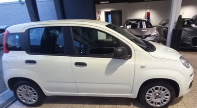 Fiat Panda 1.2 Easy (2)