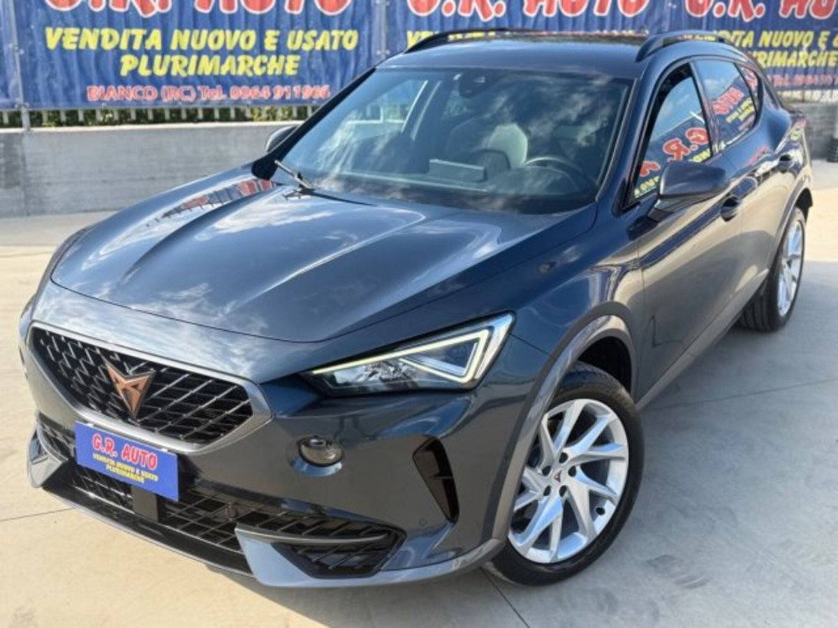 Cupra Formentor Formentor 2.0 tdi 4drive 150cv dsg