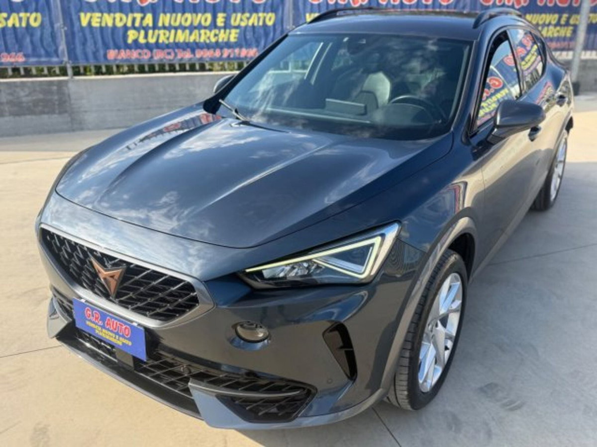 Cupra Formentor Formentor 2.0 tdi 4drive 150cv dsg (3)