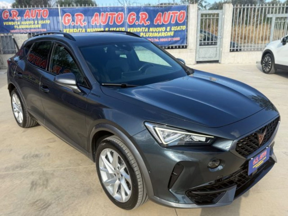 Cupra Formentor Formentor 2.0 tdi 4drive 150cv dsg (4)