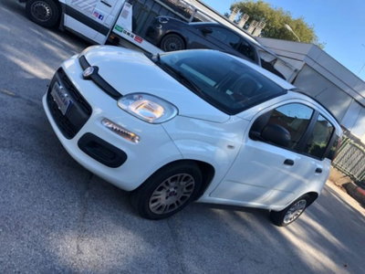 Fiat Panda 1.2 Easy usata