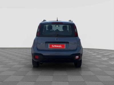Fiat Panda Cross Cross 0.9 TwinAir Turbo S&S 4x4 (4)