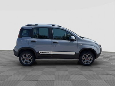 Fiat Panda Cross Cross 0.9 TwinAir Turbo S&S 4x4 (6)