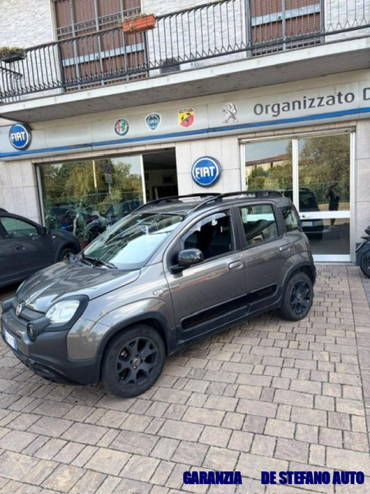 Fiat Panda 1.2 Trussardi (2)