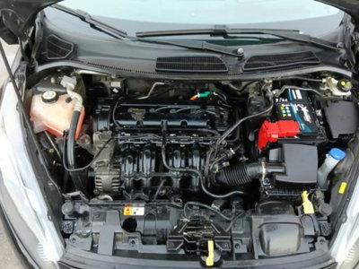 Ford Fiesta 1.2 60CV 5p. Tit. (14)
