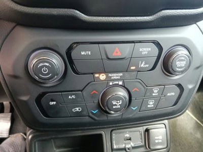Jeep Renegade 1.6 Mjt 130 CV Limited (13)