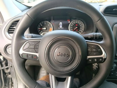 Jeep Renegade 1.6 Mjt 130 CV Limited (8)