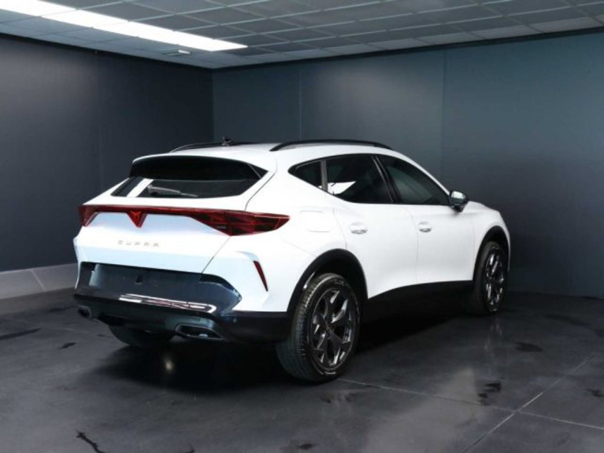 Cupra Formentor 1.5 hybrid 150cv dsg (7)