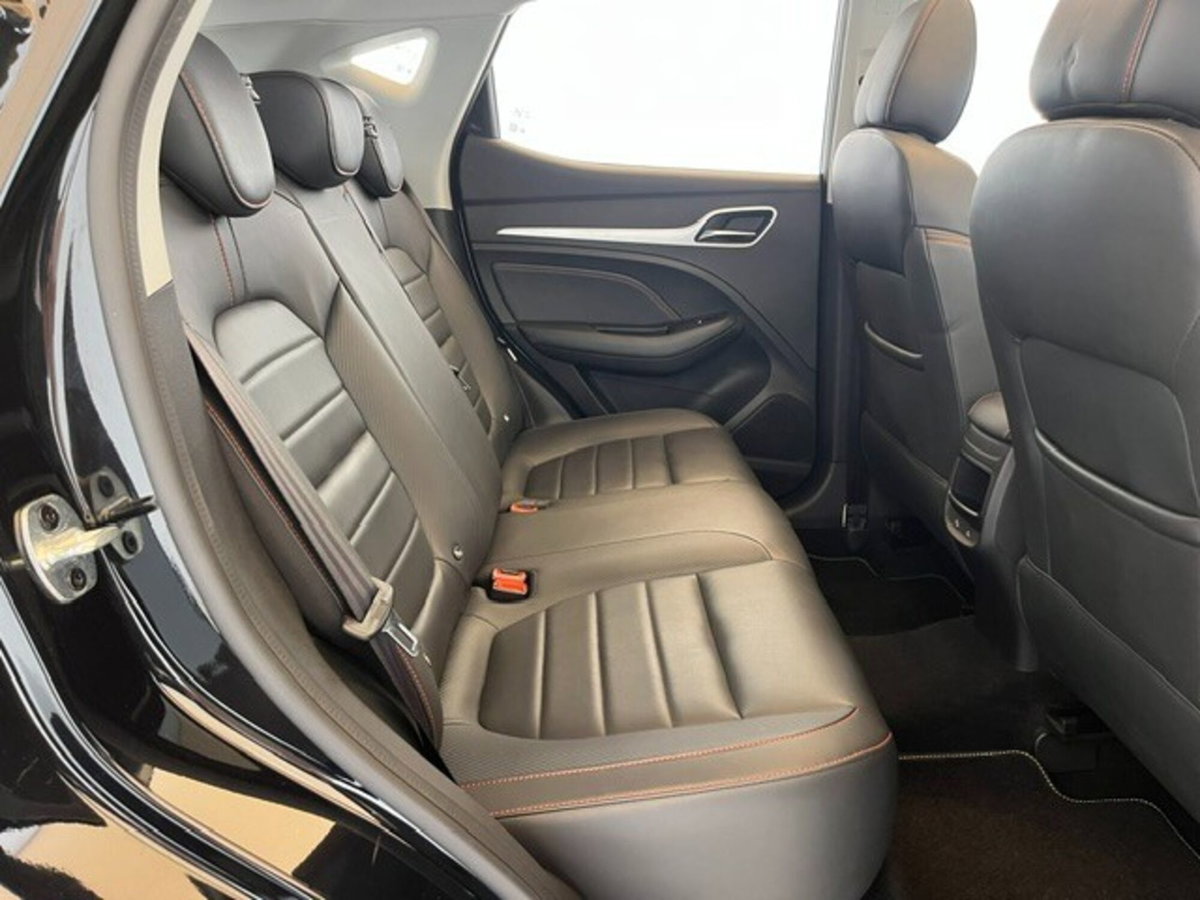 Mg ZS ZS 1.0 Luxury (15)