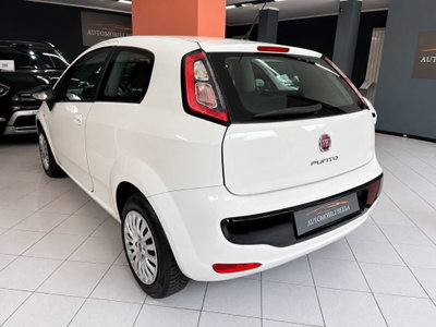 Fiat Punto Evo 1.2 3 porte S&S MyLife (6)