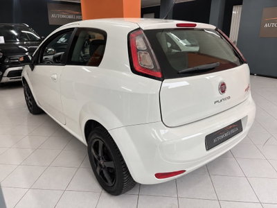 Fiat Punto 1.2 8V 3 porte Street (4)