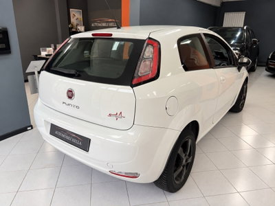 Fiat Punto 1.2 8V 3 porte Street (6)
