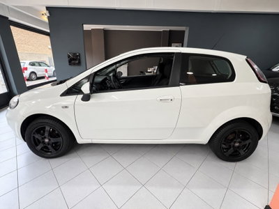 Fiat Punto 1.2 8V 3 porte Street (8)