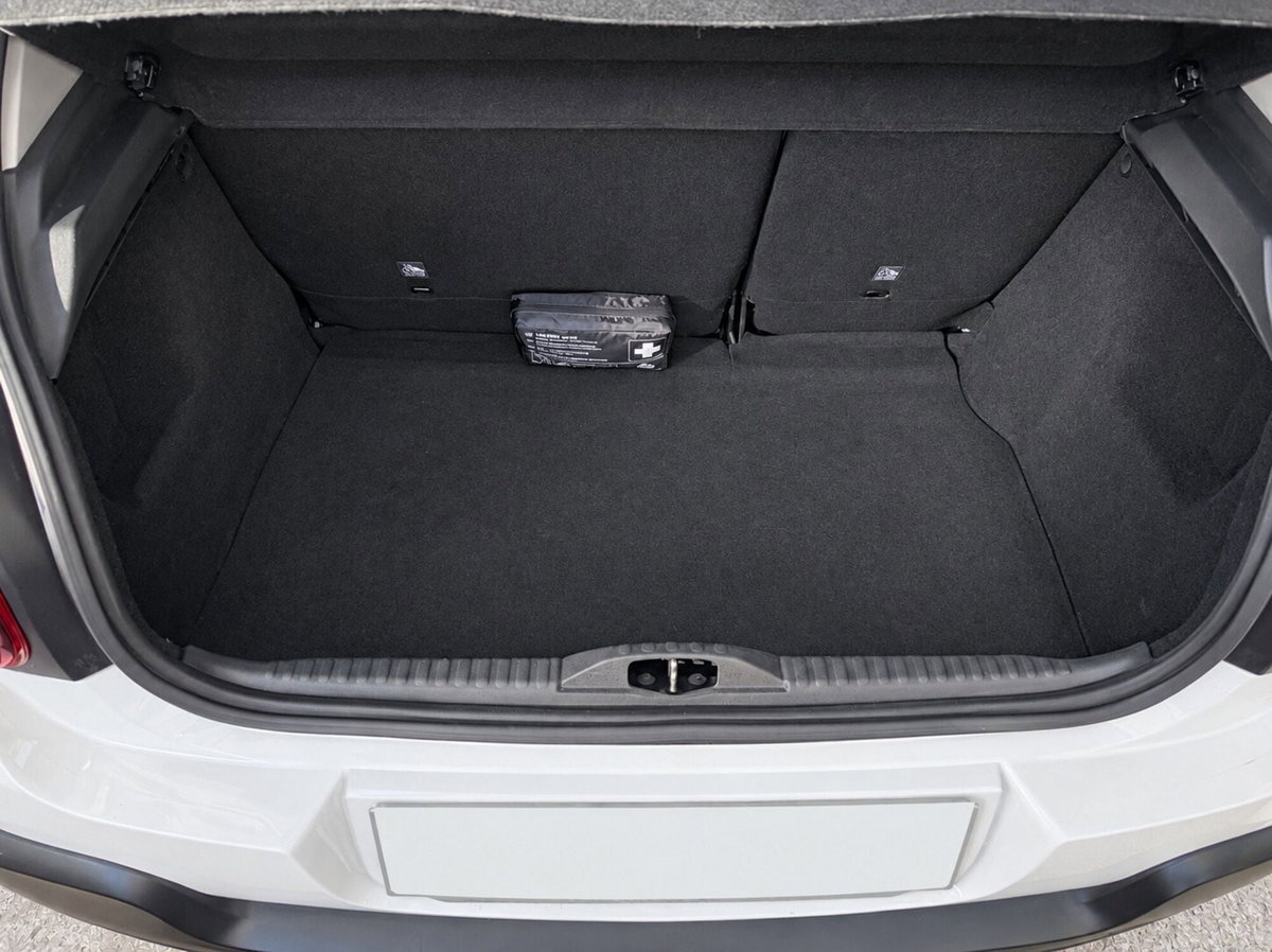 Citroen C3 BlueHDi 100 S&S Shine (10)